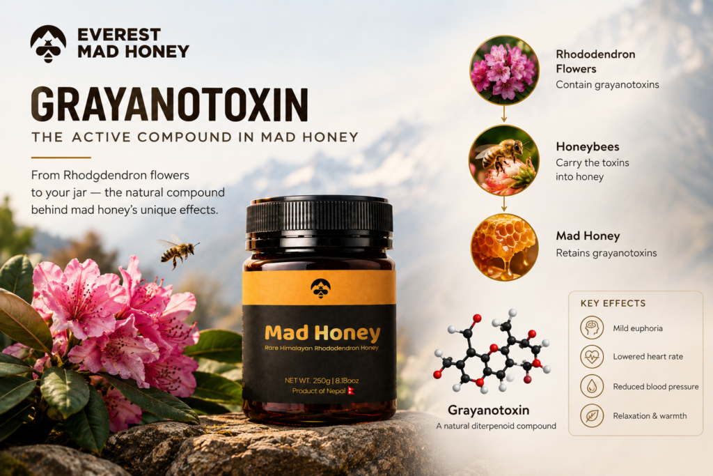 Grayanotoxin